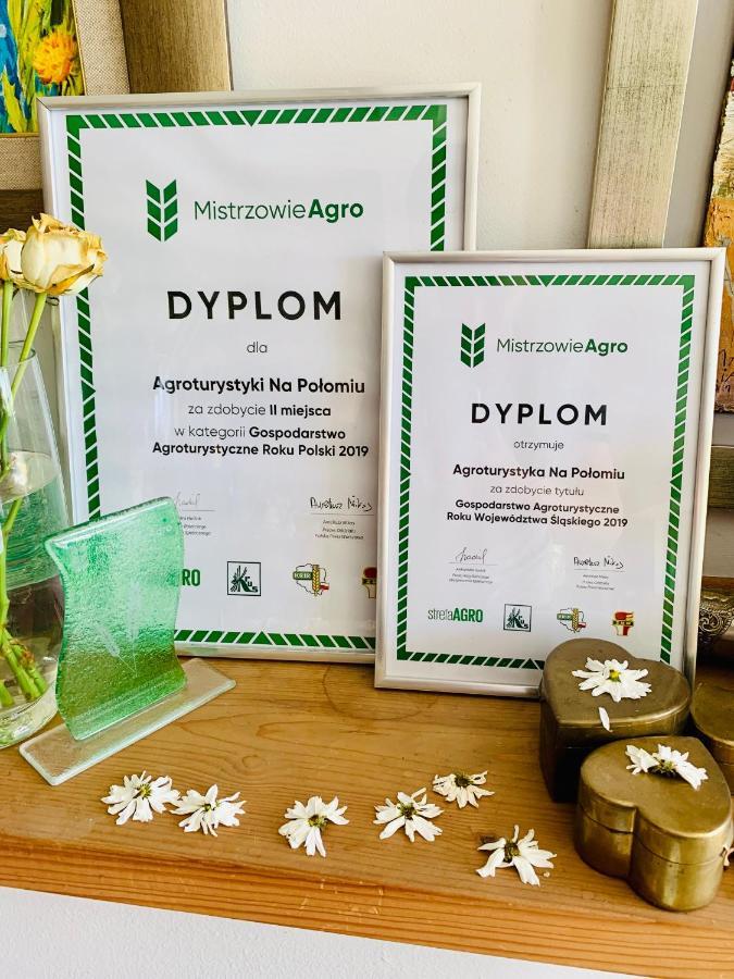 Agroturystyka „Na Polomiu” イステブナ エクステリア 写真